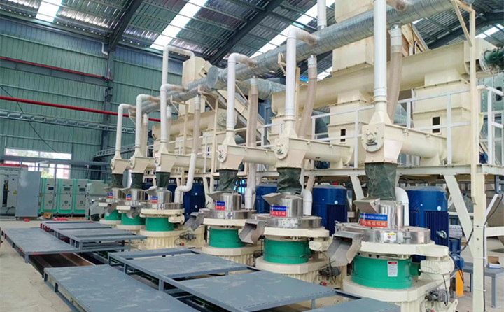 湖北陽(yáng)新 (2).jpg